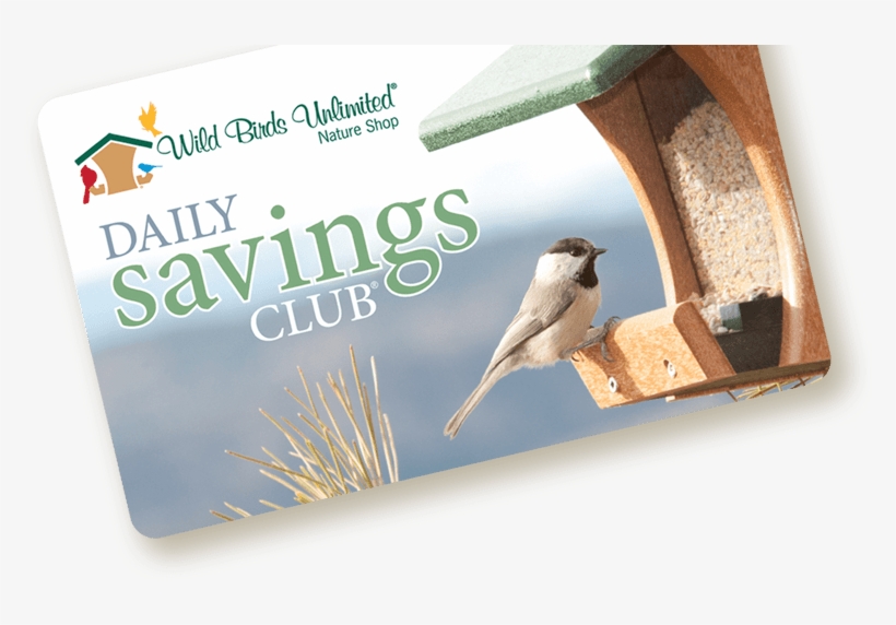 Daily Savings Club Card Graphic, Wild Birds Unlimited, - Wild Birds Unlimited, transparent png #108832
