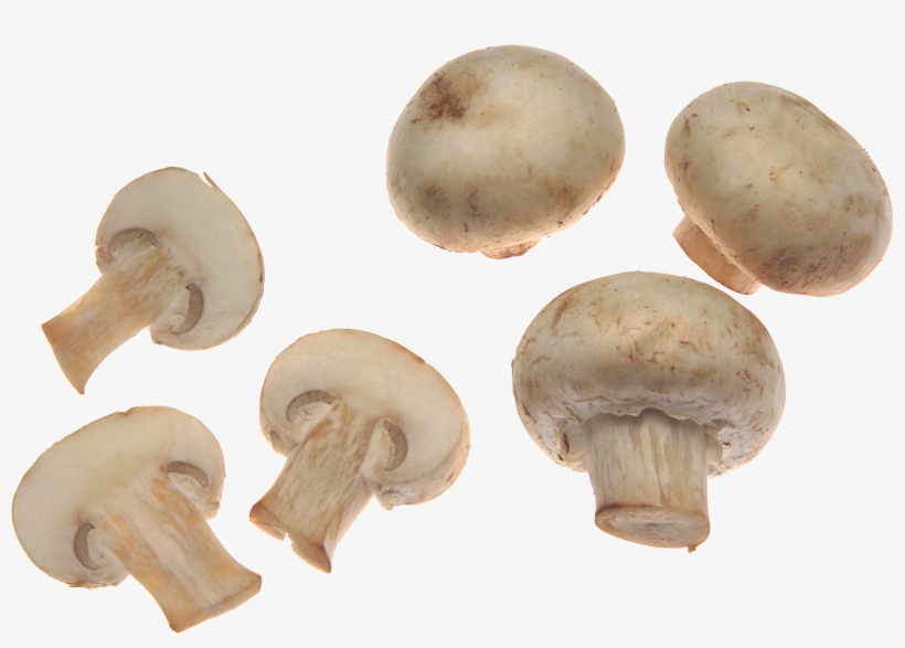 Mushroom Png, transparent png #109042