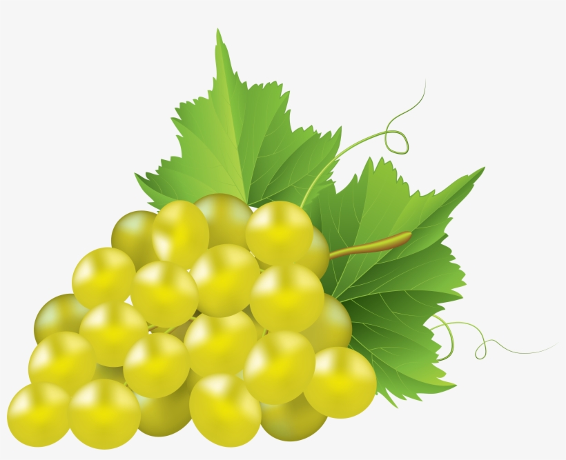 White Grape Transparent Png Clip Art Image - Chardonnay Uva Png, transparent png #109158