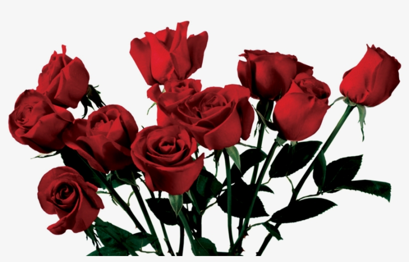 Rose Clipart Png Tumblr - Rose Aesthetic Png, transparent png #109452