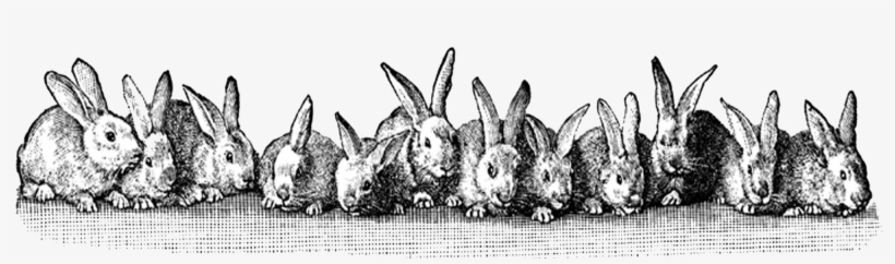 3 > Easter Bunnies In A Row Free Easter Clip Art - Vintage Bunny Clip Art, transparent png #109947