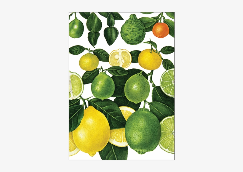 Lemons & Limes - Sweet Lemon, transparent png #1000074