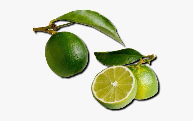 Limes Are Sold Green Yet They Turn Yellow If Left On - Florida Salt Scrubs, 12.1 Ounce, Key Lime, transparent png #1000210