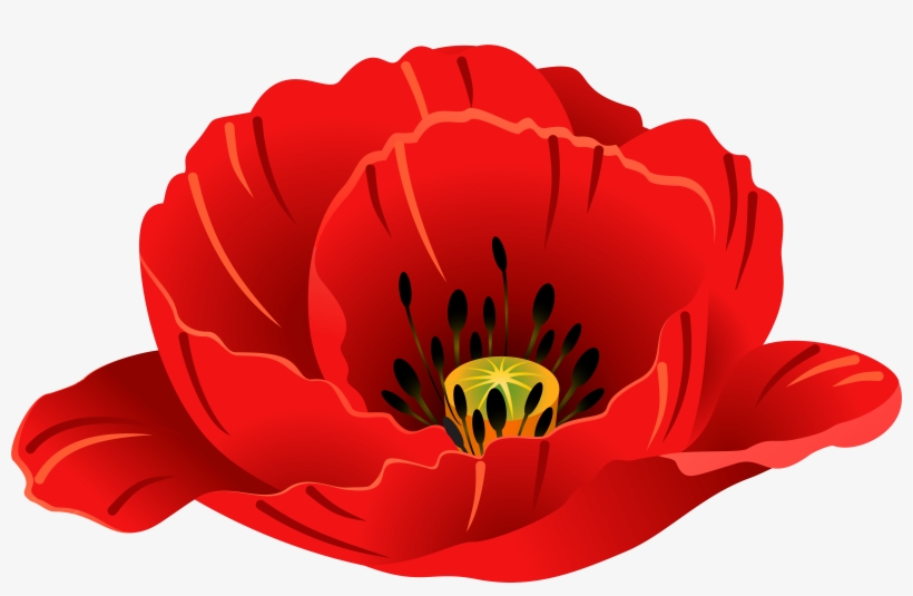 Patriotic Images, Art Images, Poppies, Clip Art, Art - Corn Poppy, transparent png #1001513