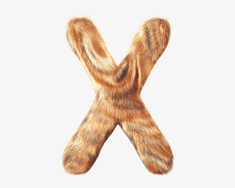 Funny Furry Font - Brown Hare, transparent png #1002487