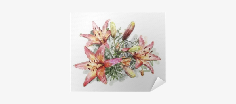 Watercolor Illustration Of Bouquet Of Lilies Poster - Evsimo Dekoratif Yastık 40x40 Cm - (452-13081), transparent png #1003246