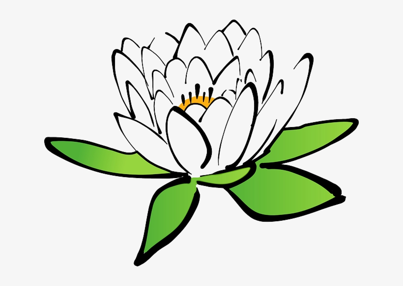 White Water Lily - รูป ดอกบัว การ์ตูน, transparent png #1003812
