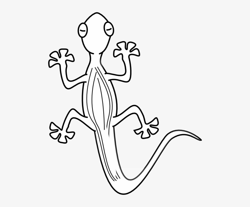 Best Clip Art Pinterest Geckos Outlines And - Gecko Clipart Black And White, transparent png #1004147