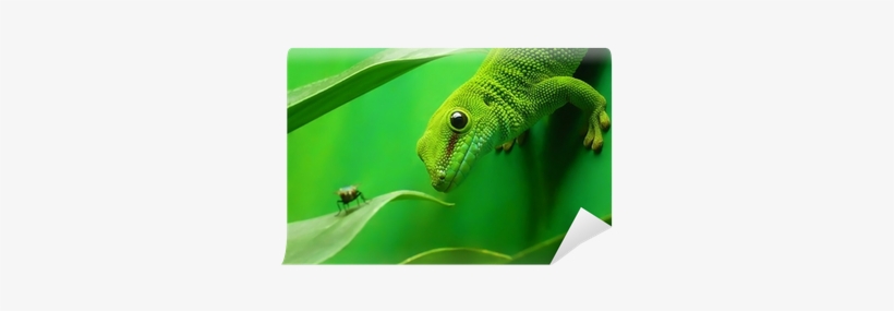 Смартфон Fly Fs517 Cirrus 11 Black Red, transparent png #1004373