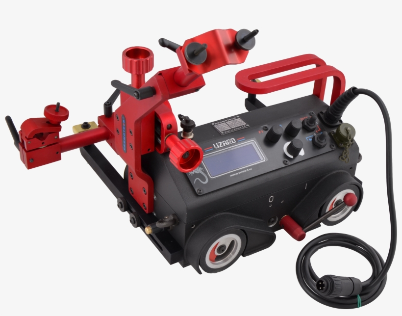 Lizard, transparent png #1004420