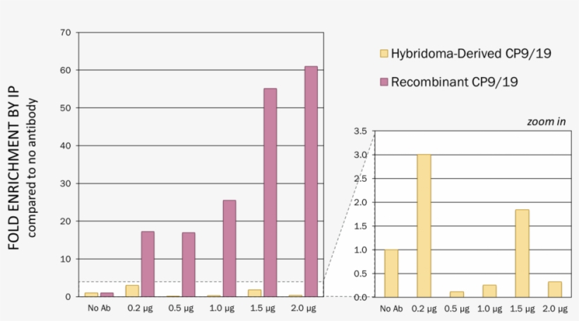 Recombinant Cp9/19 Showed Significantly Improved Performance - Diagram, transparent png #1004666