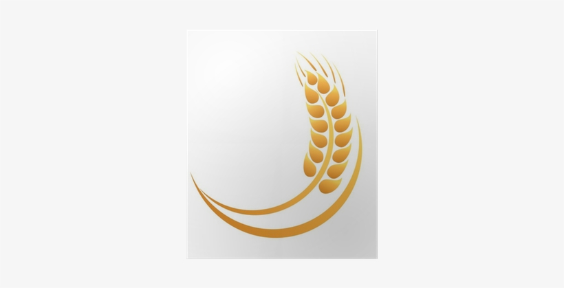 Wheat, transparent png #1004686
