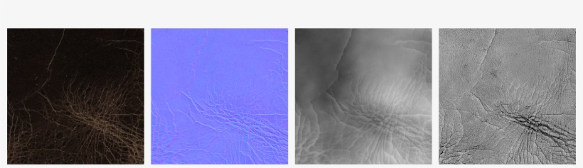Different Map Types Captured With Our Scanning Process - Texture Leather Scan, transparent png #1004849