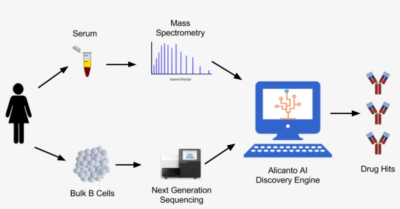 Alicanto Antibody Discovery - Diagram, transparent png #1005015