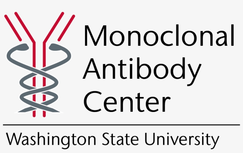 Mab Badge - Badge, transparent png #1005059