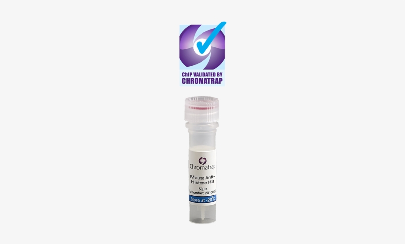 Chip Validated Antibodies - Plastic Bottle, transparent png #1005088