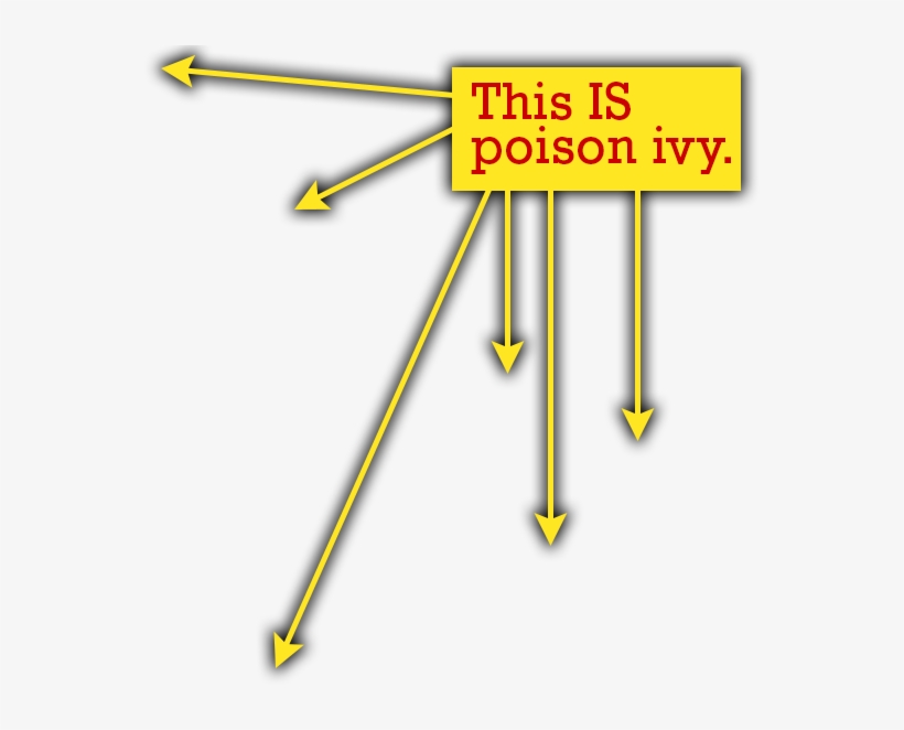 Note How The Poison Ivy Leaves Never Have That Square - Quiz, transparent png #1005165
