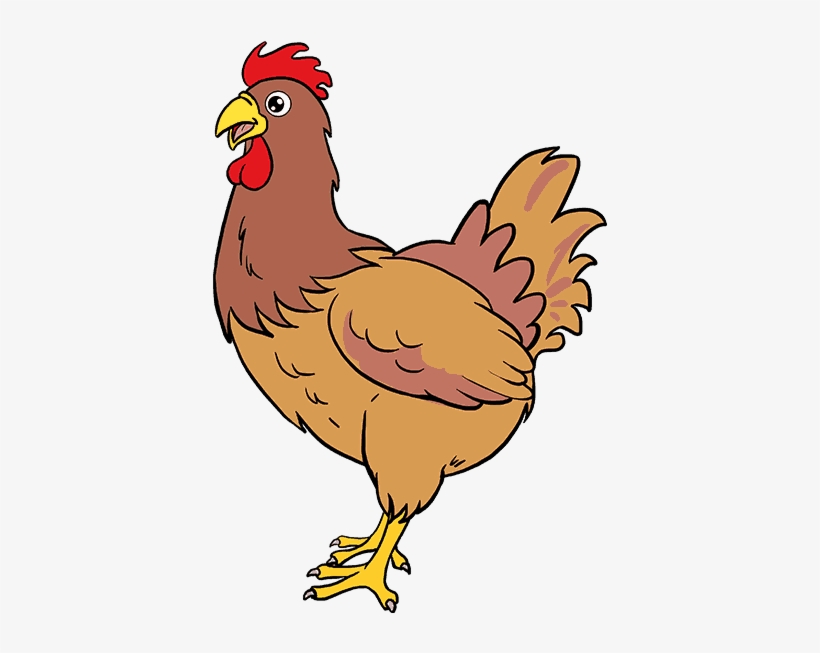 How To Draw Chicken - Brahma Chicken In Clipart, transparent png #1005366
