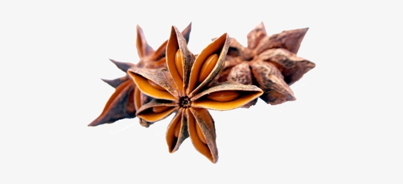 Star Anise - Anise Herbal, transparent png #1006686