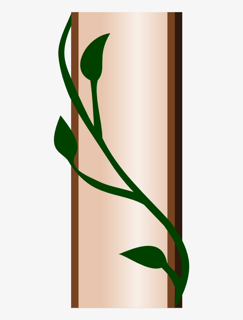 Vine, Climbing Plant, Clamberer, Plant, Creeping Plant - Border Clip Art, transparent png #1008014