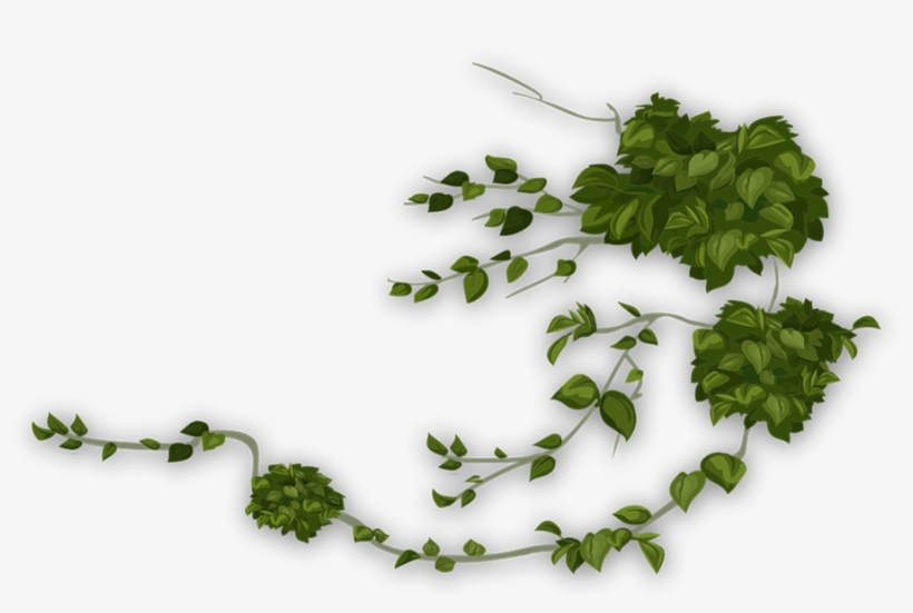 Assassin Vine - Tanaman Merambat Png, transparent png #1008104