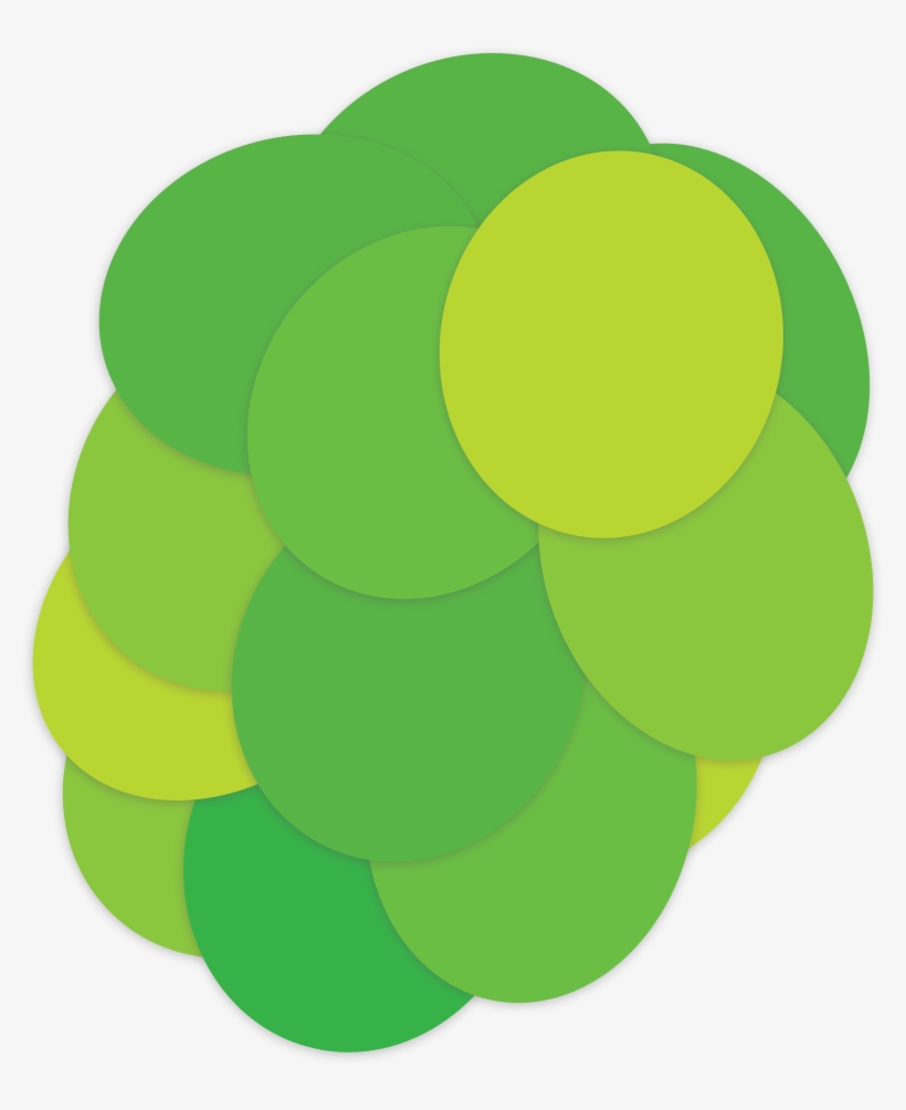 Bright Vines Grape The Crispy Crunchy Grape - Grape, transparent png #1008562