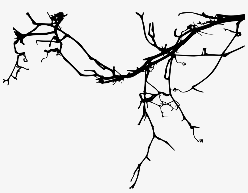 15 Simple Tree Branch Silhouettes - Silueta Rama De Arbol, transparent png #1009062