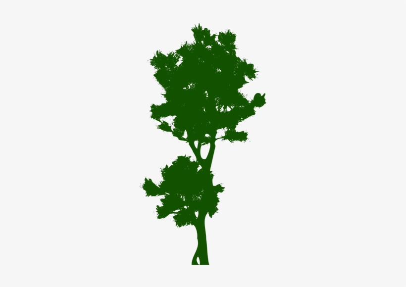 1253 Free Clipart Bare Tree Branches Public Domain - Tree, transparent png #1009137