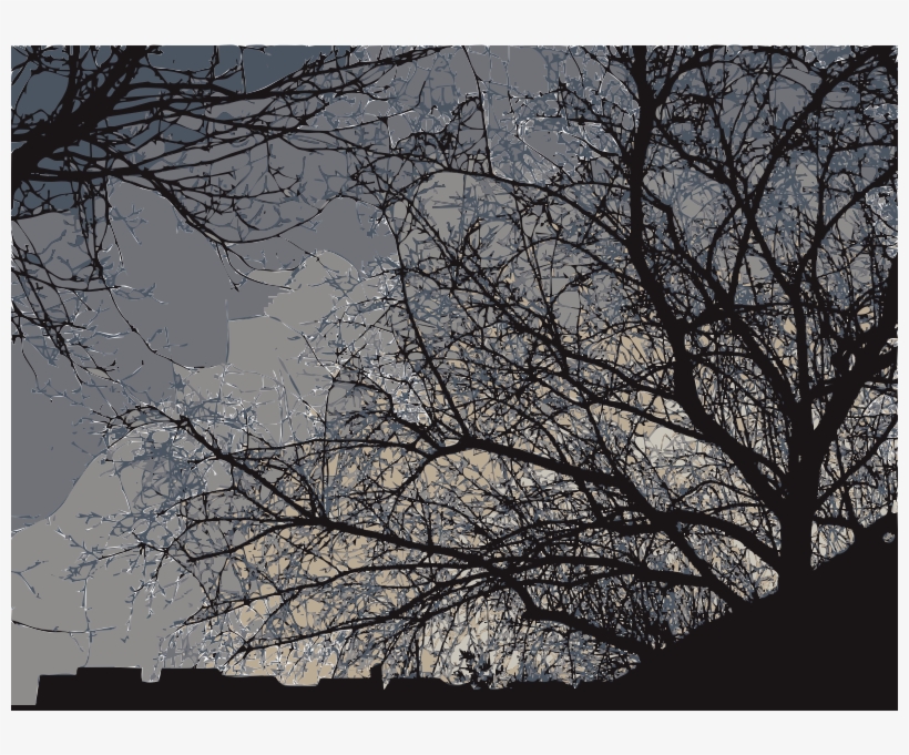 Medium Image - Branch, transparent png #1009140