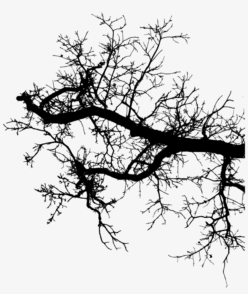 Freetoedit Tree Branch Silhouette 4trueartists Element - Portable Network Graphics, transparent png #1009161
