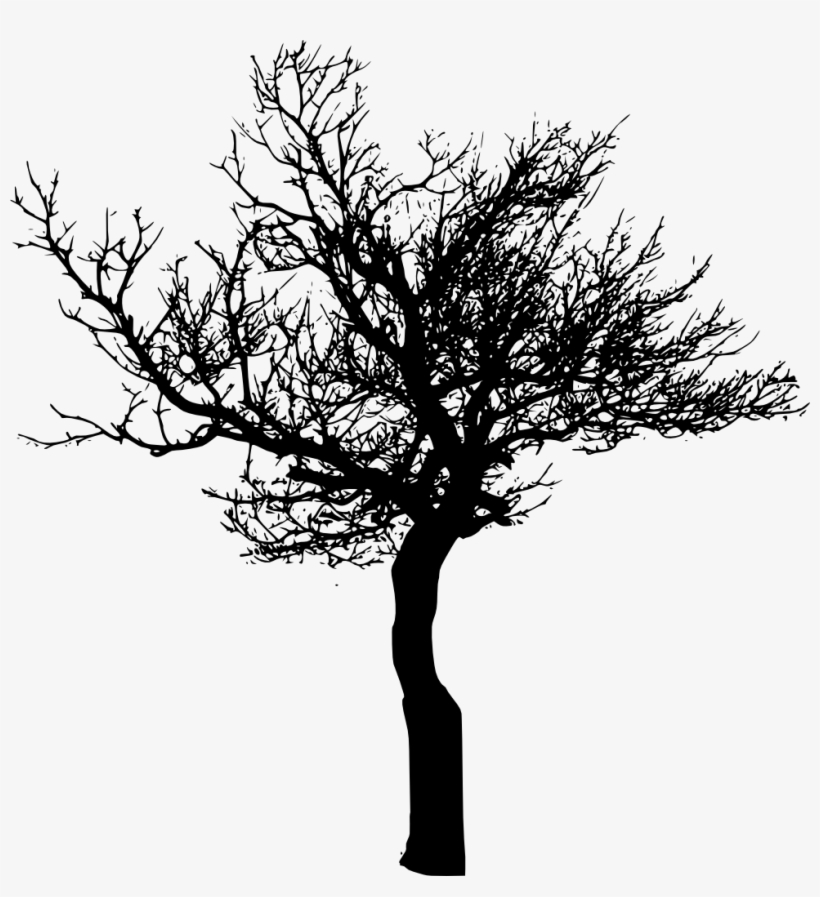 Tree Branch Silhouette Png Download - Tree, transparent png #1009186
