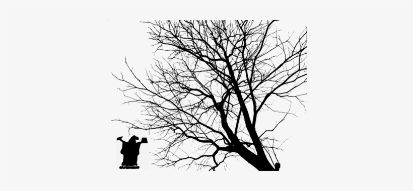 Tree Branch Silhouette Png Tree Silhouette - Informal Invitation To A Traveler: Letters Between, transparent png #1009281