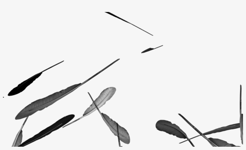 Arts Themed Video Clipart Of Quills Or Feathers Falling - Photography, transparent png #1009440