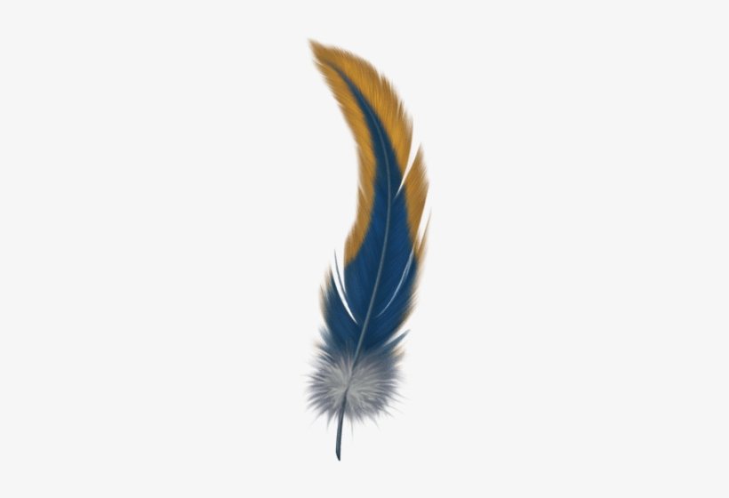 Free Png Feather Png Images Transparent - Feather With Transparent Background, transparent png #1009506
