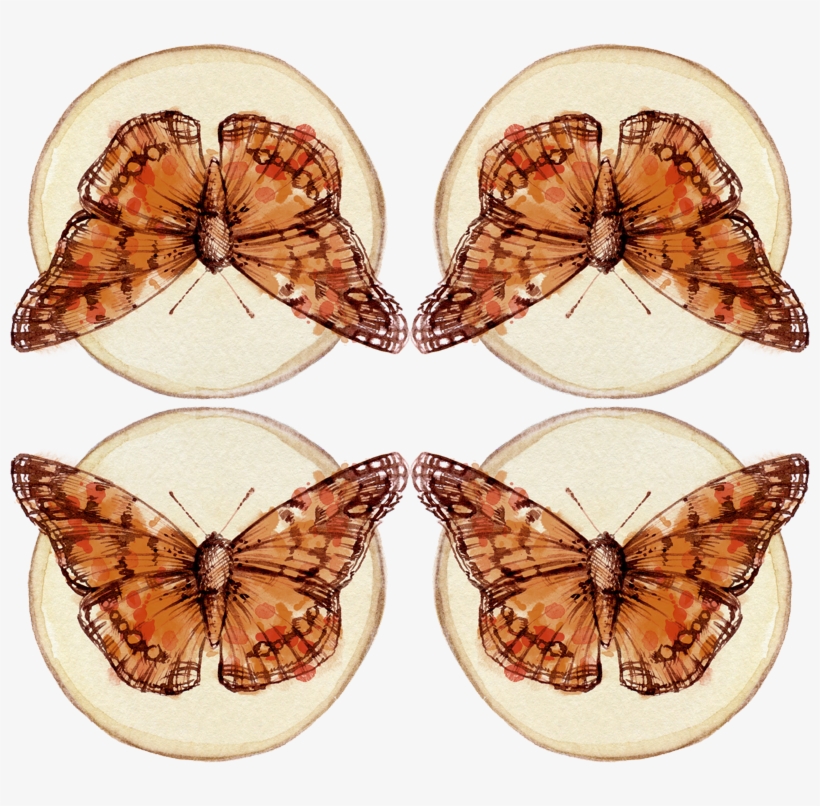 Borboletas Png, transparent png #10050079