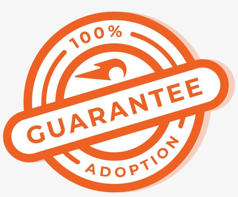 Spiro 100% Adoption Guarantee - Circle, transparent png #10053437