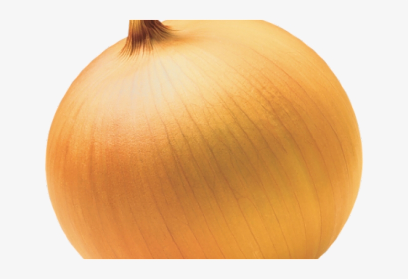 Onion Clipart - Yellow Onion, transparent png #10054937