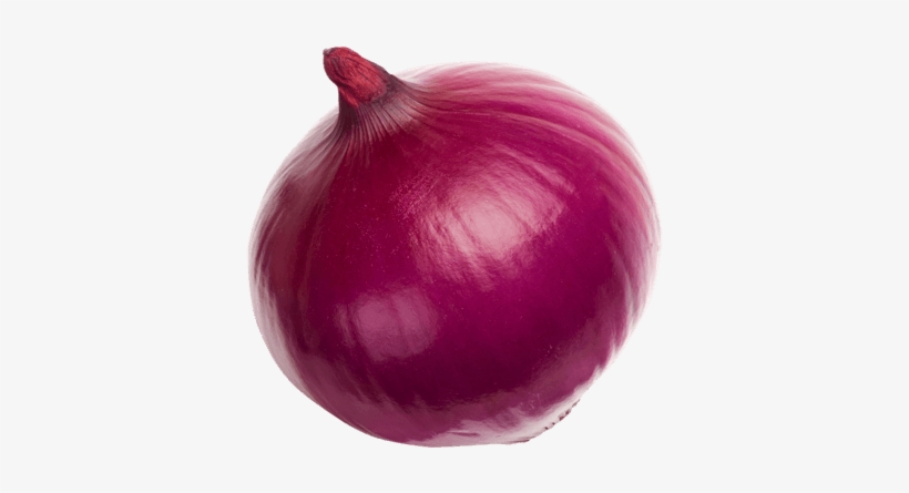 Spreading - Red Onion, transparent png #10055219