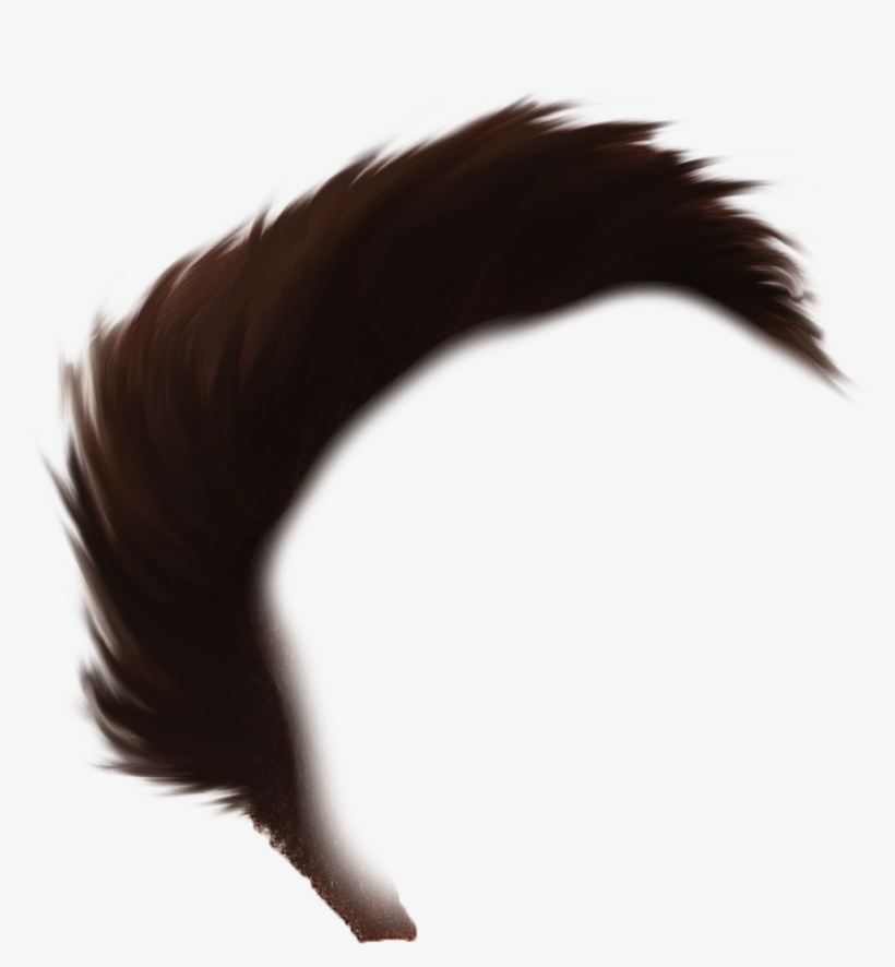 Hair Png - Close-up, transparent png #10058159