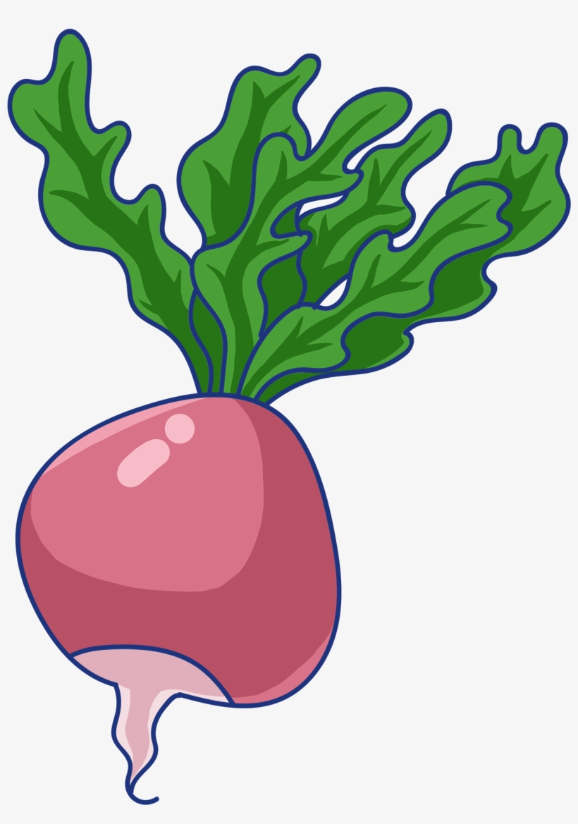 Root Red Radish Green Png And Psd - Radish, transparent png #10059683