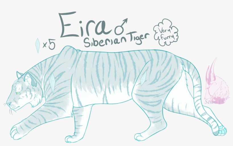 Bengal Tiger, transparent png #10063923