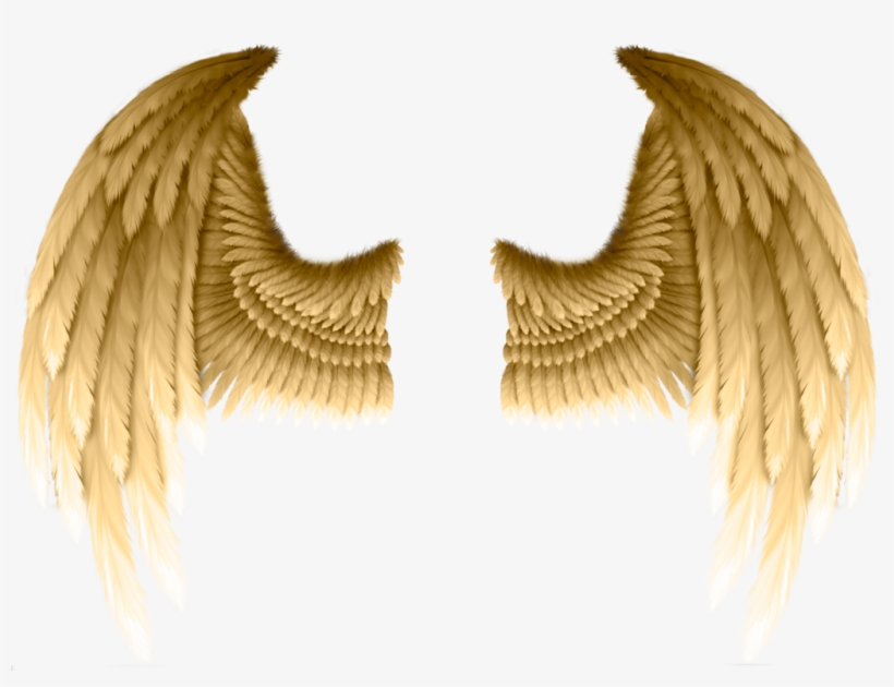 #freetoedit #ftestickers #dt #angelwings #wings #gold - Transparent Gold Angel Wings, transparent png #10066177