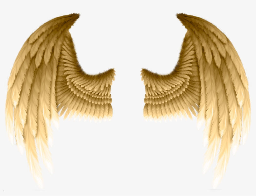 #freetoedit #ftestickers #dt #angelwings #wings #gold - Transparent Gold Angel Wings, transparent png #10066177