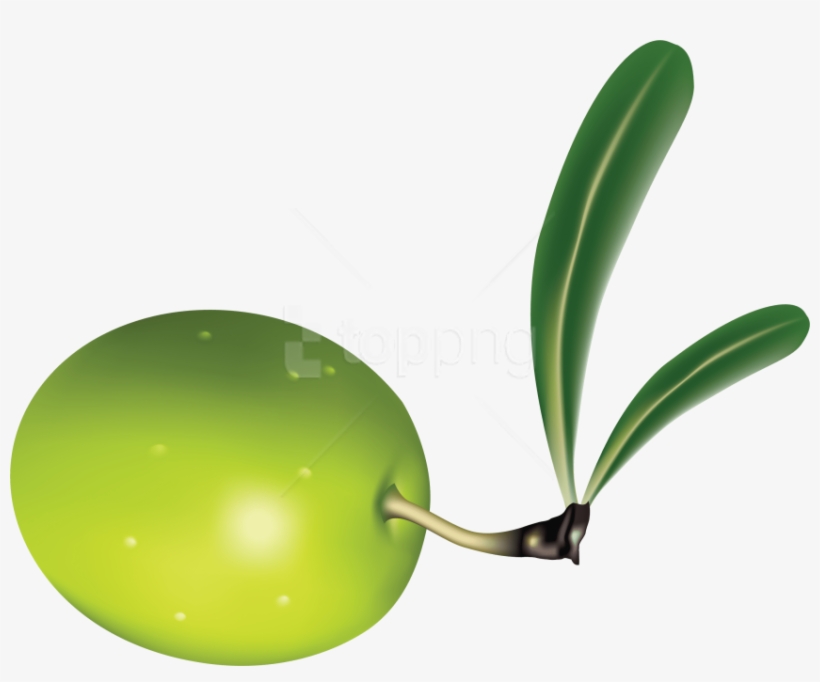 Free Png Download Olives Clipart Png Photo Png Images - Olive Png, transparent png #10066621
