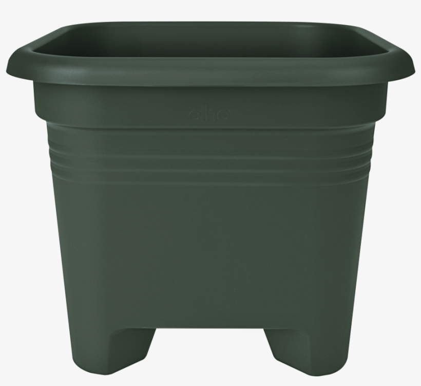 Flowerpot, transparent png #10067471
