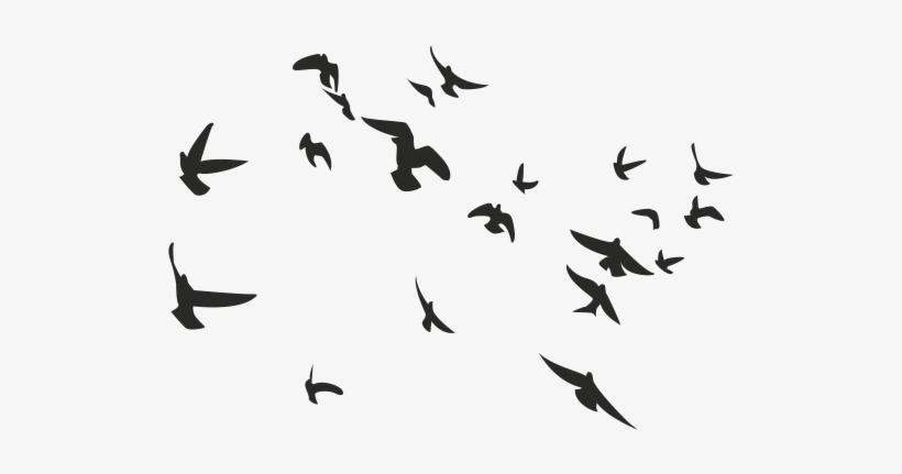 Pajaros Png Para Photoshop - Mountain Hiking Vector, transparent png #10068598