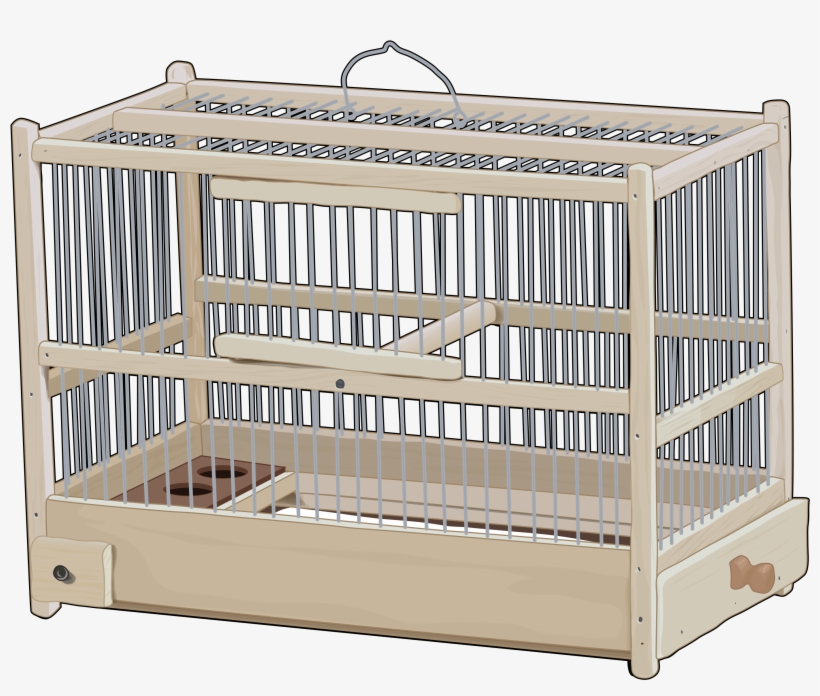 Jaula Pájaros - Cage, transparent png #10068747
