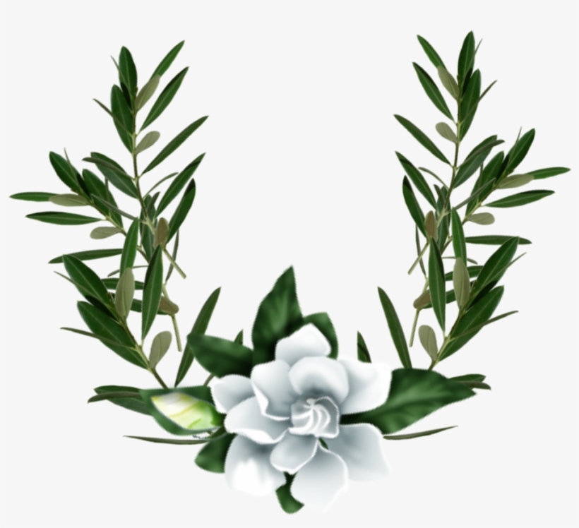 Gardenia Sticker - Jasmine, transparent png #10068972