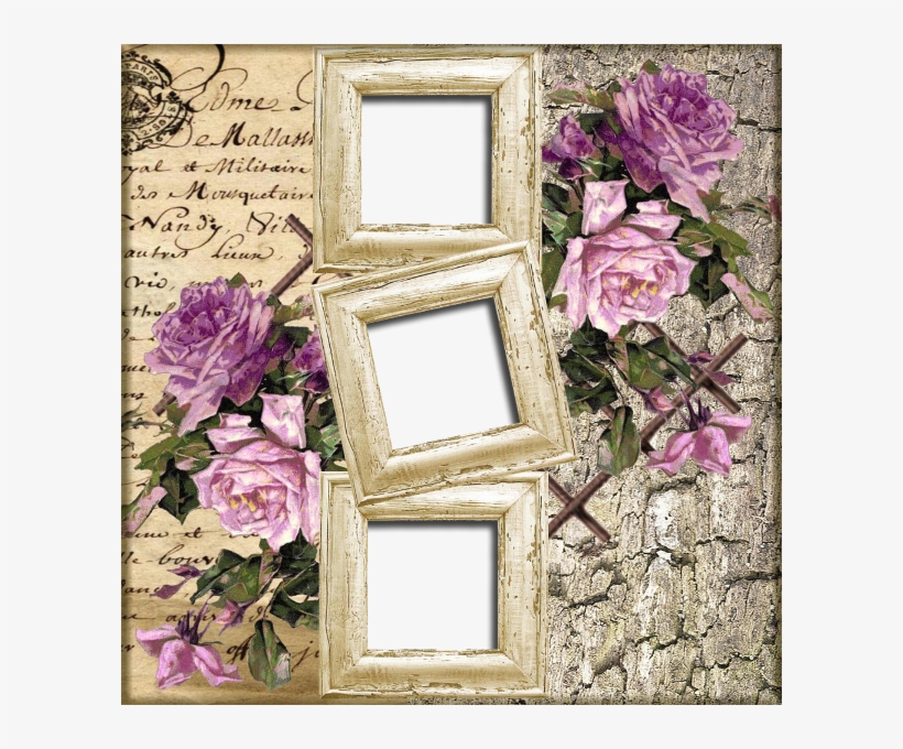 Nm Moldura 15 04 - Garden Roses, transparent png #10069403