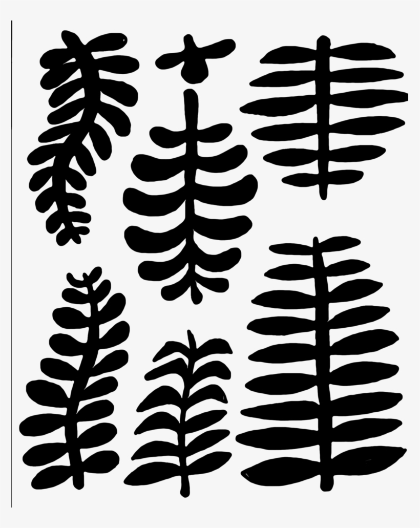 Leaf Shapes Cool Shapes, Leaf Shapes, Line Drawing, - Fern, transparent png #10070543